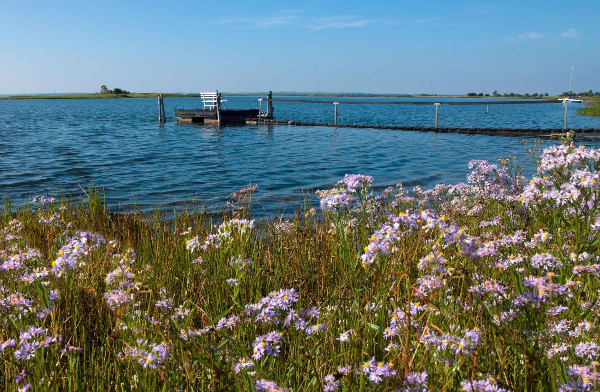 Residenz Am Yachthafen Strandaster Kirchdorf  Exteriör bild
