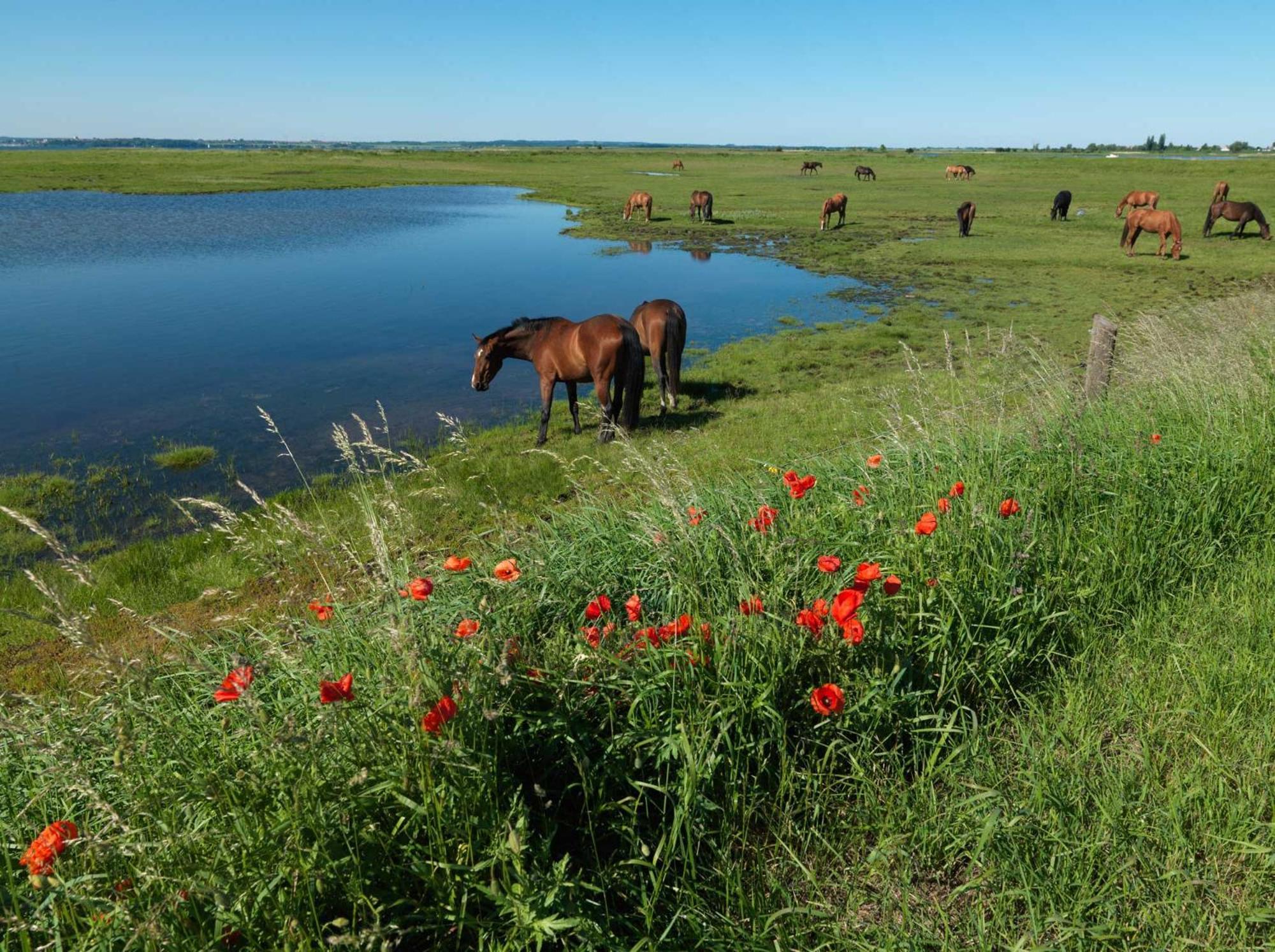 Residenz Am Yachthafen Strandaster Kirchdorf  Exteriör bild